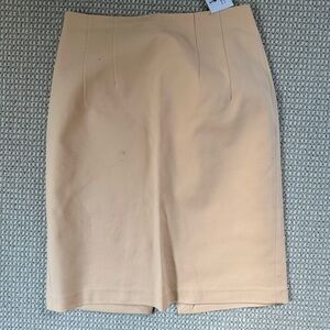 Club Monaco Franchie skirt
